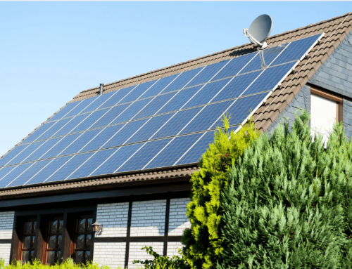 New Year, New Savings: Go Solar in 2025